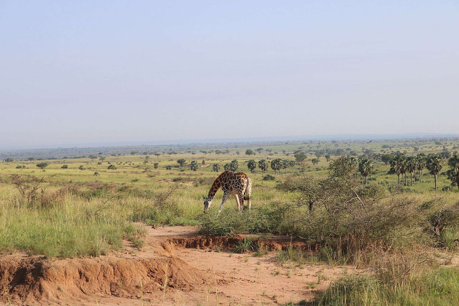 Mihingo Lodge area, Lake Mburo