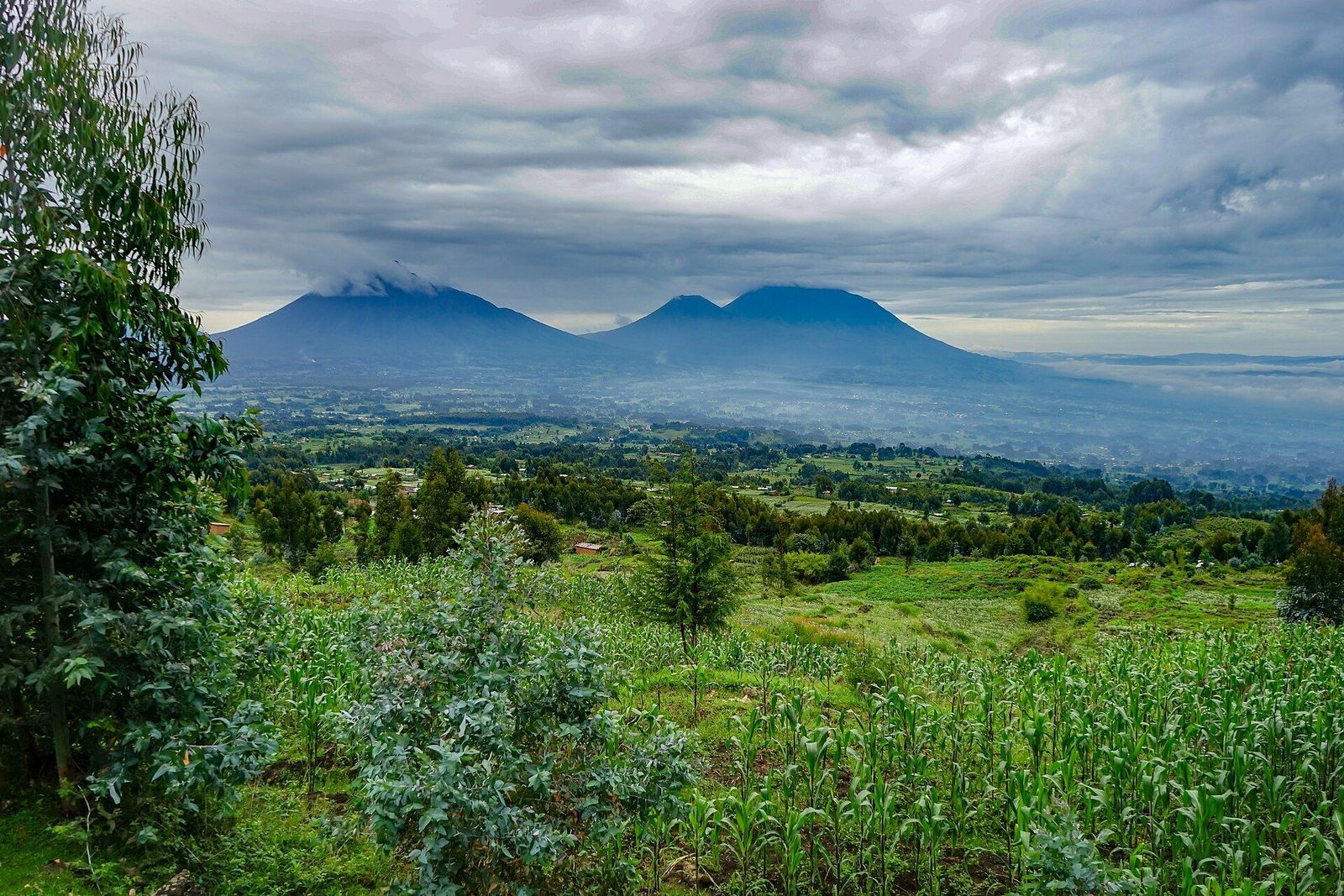 Sabyinyo Silverback Lodge area, Volcanoes